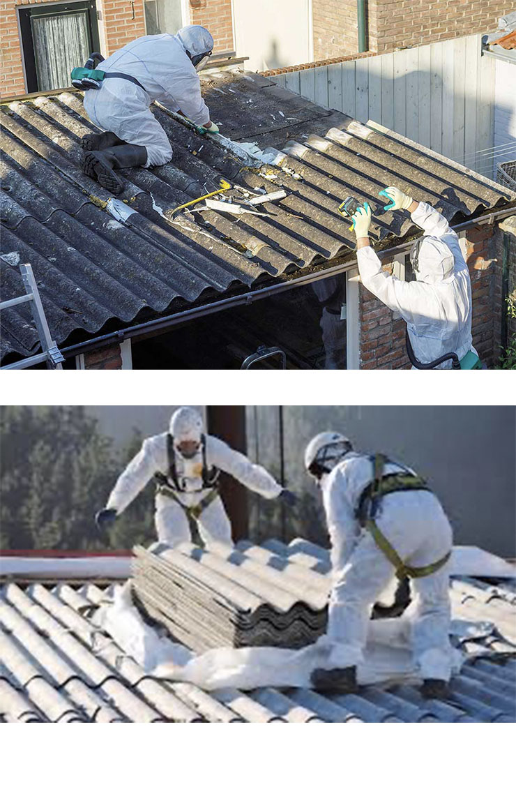 Homepage - Bluestone Environmental